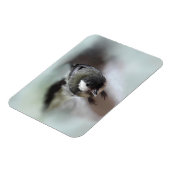 Magnet Flexible Tidi my Bird le Parus Major (Côté Gauche)