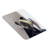 Magnet Flexible Tidi my Bird le Parus Major (Côté Droit)