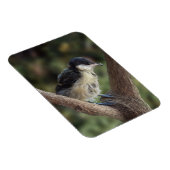 Magnet Flexible Tidi my Bird le Parus Major (Côté Droit)