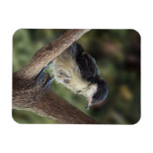 Magnet Flexible Tidi my Bird le Parus Major (Horizontal)
