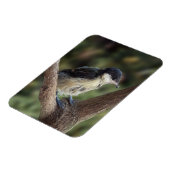 Magnet Flexible Tidi my Bird le Parus Major (Côté Gauche)
