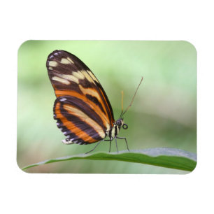 Magnet Flexible Tiger