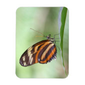 Magnet Flexible Tiger (Vertical)