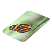 Magnet Flexible Tiger (Côté Gauche)