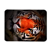 Magnet Flexible Tiger Face Motivational Artwork (Horizontal)