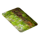 Magnet Flexible Tiger | Issaquah, État de Washington (Côté Droit)