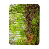 Magnet Flexible Tiger | Issaquah, État de Washington (Vertical)