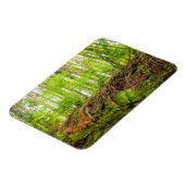 Magnet Flexible Tiger | Issaquah, État de Washington (Côté Gauche)