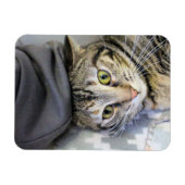 Magnet Flexible Tigre (Horizontal)