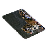 Magnet Flexible Tigre (Côté Droit)