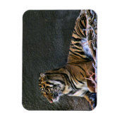 Magnet Flexible Tigre (Vertical)