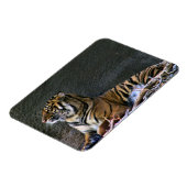 Magnet Flexible Tigre (Côté Gauche)