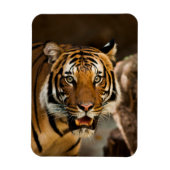 Magnet Flexible Tigre (Vertical)