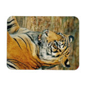 Magnet Flexible Tigre (Horizontal)