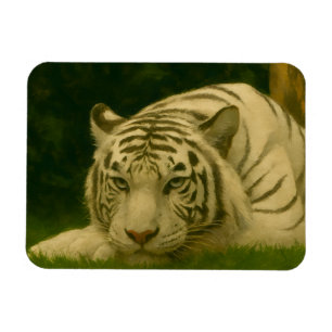 Magnet Flexible Tigre blanc reposant dans l'ombre des bois
