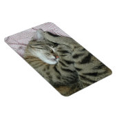 Magnet Flexible Tigre-chat couché (Côté Droit)