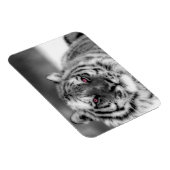 Magnet Flexible Tigre observé par rose (Côté Droit)
