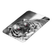 Magnet Flexible Tigre observé par rose (Côté Gauche)