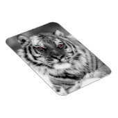 Magnet Flexible Tigre observé par rose (Côté Droit)