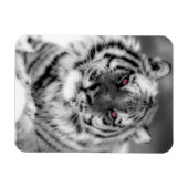 Magnet Flexible Tigre observé par rose (Horizontal)