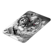Magnet Flexible Tigre observé par rose (Côté Gauche)