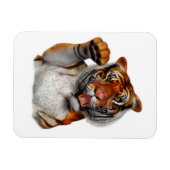 Magnet Flexible Tigre, Tigre (Horizontal)