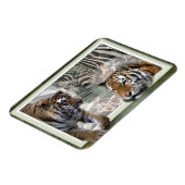Magnet Flexible Tigres, Zèbre, Giraffe, Jungle Primitive (Côté Gauche)