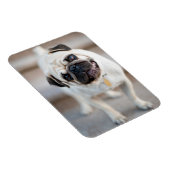 Magnet Flexible Tillette Carlin (Côté Droit)