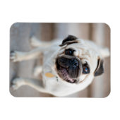 Magnet Flexible Tillette Carlin (Horizontal)