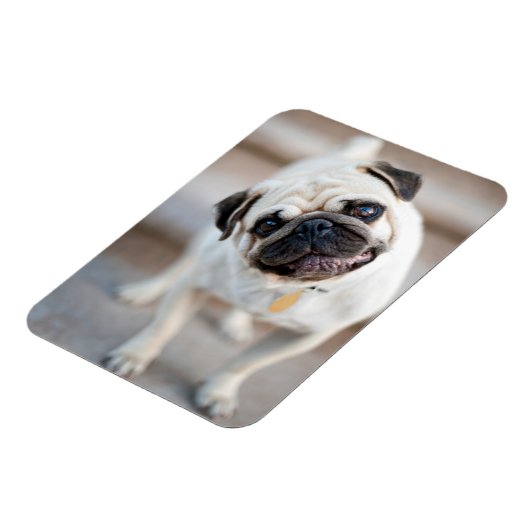 Magnet Flexible Tillette Carlin (Côté Gauche)