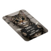 Magnet Flexible Tinsel le chaton de Noël (Côté Droit)