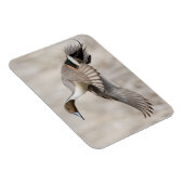 Magnet Flexible Tirage à l'ongle en vol (Côté Droit)