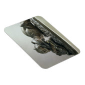 Magnet Flexible Tivouring à alligator, 1832 (bronze) (Côté Droit)