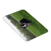 Magnet Flexible Toby (Côté Droit)