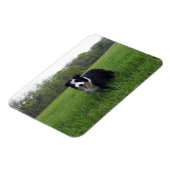 Magnet Flexible Toby (Côté Gauche)