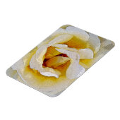 Magnet Flexible tons blanc à jaune (Côté Gauche)