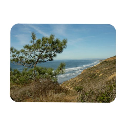 Magnet Flexible Torrey Pine and California Coastline Landscape (Horizontal)