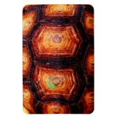 Magnet Flexible Tortois (Vertical)