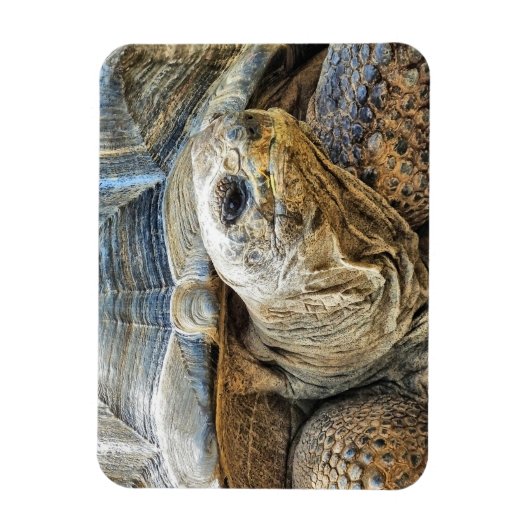 MAGNET FLEXIBLE TORTOISE (Vertical)