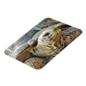 MAGNET FLEXIBLE TORTOISE (Côté Gauche)
