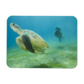Magnet Flexible Tortue (Horizontal)
