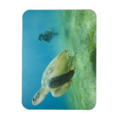 Magnet Flexible Tortue (Vertical)