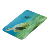 Magnet Flexible Tortue (Côté Gauche)