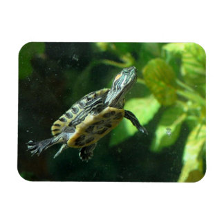 Magnet Flexible Tortue à glissière rouge