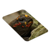 Magnet Flexible Tortue à pied rouge (Côté Droit)