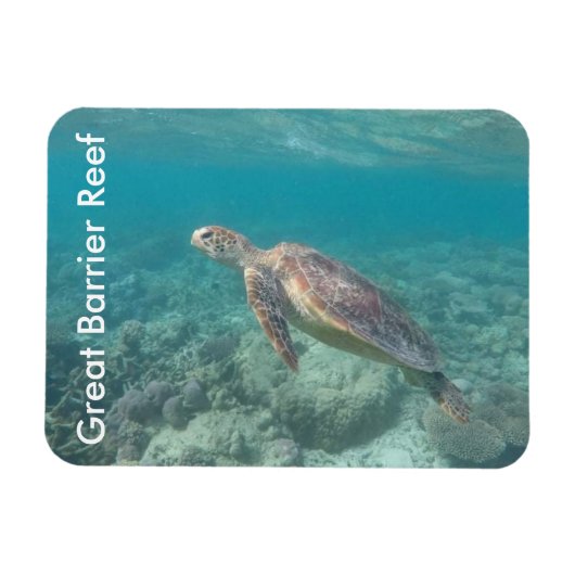 Magnet Flexible tortue barrière (Horizontal)