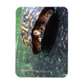 Magnet Flexible Tortue boîte (Vertical)