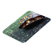 Magnet Flexible Tortue boîte (Côté Gauche)
