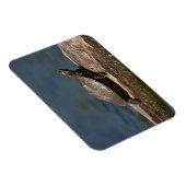 Magnet Flexible Tortue peinte sur un bûcher (Côté Droit)