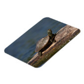 Magnet Flexible Tortue peinte sur un bûcher (Côté Gauche)